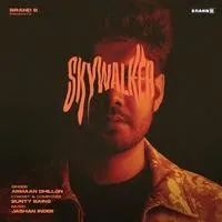 Skywalker Song | Armaan Dhillon Poster