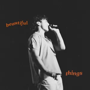 Beautiful Things Song Poster